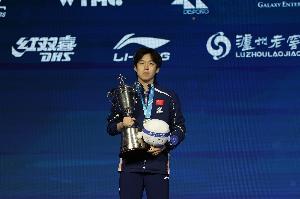 3dm足球经理2016