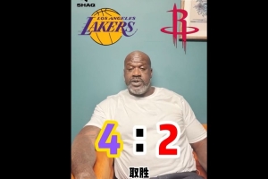 阿森纳vs波里索夫赛果